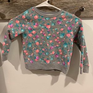 3/$12 Garanimal sweater